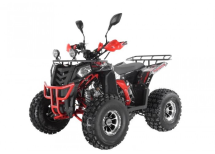 Квадроцикл WELS Thunder EVO LUX X 125