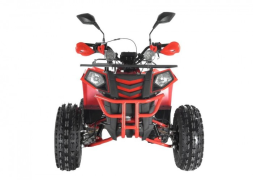 Квадроцикл WELS Thunder EVO LUX X 125, фото 4