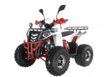 Квадроцикл WELS Thunder EVO LUX X 125