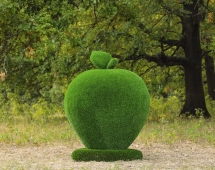Топиари яблоко - газон Eco