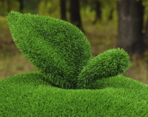 Топиари яблоко - газон Eco