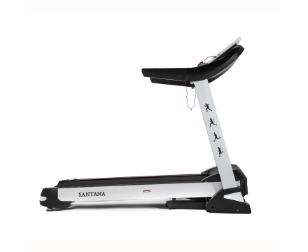 Беговая дорожка DFC SANTANA T755, фото 2