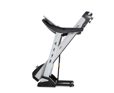 Беговая дорожка DFC SANTANA T755, фото 4