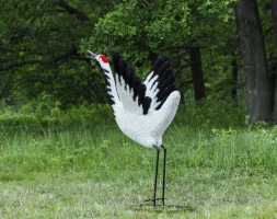 Топиари журавль японский - газон Eco, фото 3