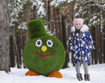 Топиари смайлик Без шляпы - газон Premium Топиари смайлик Без шляпы - газон Premium