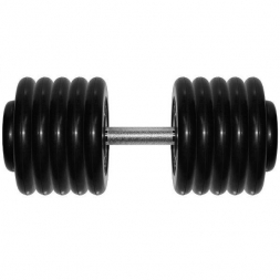 Гантель Barbell 56 кг профи