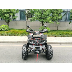 Квадроцикл MOTAX ATV Grizlik T200 Lux, фото 9