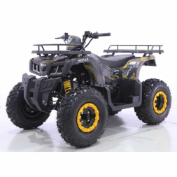 Квадроцикл MOTAX ATV Grizlik T200 Lux, фото 1