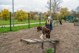 Балансир для дрессировки собак, фото 3