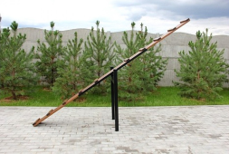 Балансир для дрессировки собак, фото 2