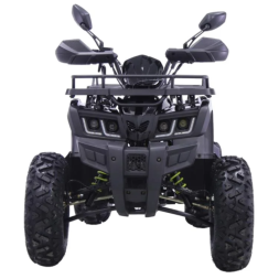 Квадроцикл YACOTA WARRIOR, фото 3