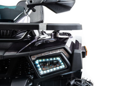 Квадроцикл MOTOLAND 200 Wild Track X Pro (2022), фото 7