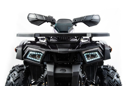 Квадроцикл MOTOLAND 200 Wild Track X Pro (2022), фото 6