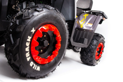 Квадроцикл MOTOLAND 200 Wild Track X Pro (2022), фото 5