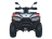 Квадроцикл ACCESS AMX800 Long Base (ПСМ)