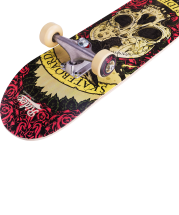 Скейтборд Blockhead 27.5″X7.25″, ABEC-3