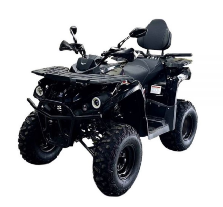 Квадроцикл BISON Forest 200 Lux, фото 1