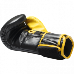 Боксерские Перчатки Hardcore Training hctboxglove02, фото 4