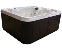 спа-бассейн Premium Leisure Go 6, фото 2