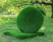 Топиари яблоко Гренни - газон Eco Green
