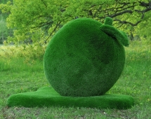 Топиари яблоко Гренни - газон Eco Green
