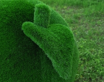 Топиари яблоко Гренни - газон Eco Green