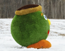 Топиари смайлик в берете - газон Eco+Premium Топиари смайлик в берете - газон Eco+Premium