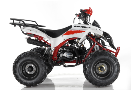 Квадроцикл MOTAX ATV Raptor Super LUX 125 cc, фото 7