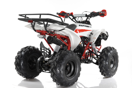 Квадроцикл MOTAX ATV Raptor Super LUX 125 cc, фото 3
