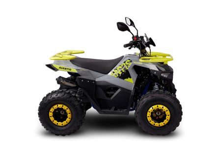 Квадроцикл AVANTIS Ray 8 Lux, фото 2