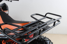 Квадроцикл MOTAX ATV T-Rex Super LUX 50 cc Квадроцикл MOTAX ATV T-Rex Super LUX 50 cc