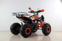 Квадроцикл MOTAX ATV T-Rex Super LUX 50 cc Квадроцикл MOTAX ATV T-Rex Super LUX 50 cc