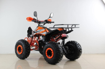 Квадроцикл MOTAX ATV T-Rex Super LUX 50 cc Квадроцикл MOTAX ATV T-Rex Super LUX 50 cc