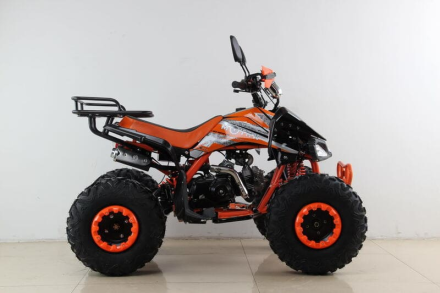 Квадроцикл MOTAX ATV T-Rex Super LUX 50 cc, фото 5