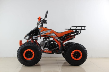 Квадроцикл MOTAX ATV T-Rex Super LUX 50 cc Квадроцикл MOTAX ATV T-Rex Super LUX 50 cc