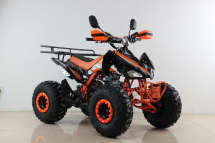 Квадроцикл MOTAX ATV T-Rex Super LUX 50 cc Квадроцикл MOTAX ATV T-Rex Super LUX 50 cc