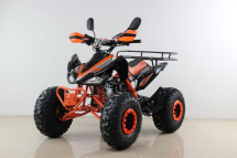Квадроцикл MOTAX ATV T-Rex Super LUX 50 cc Квадроцикл MOTAX ATV T-Rex Super LUX 50 cc