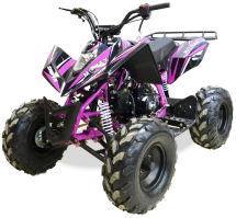 Квадроцикл MOTAX ATV T-Rex Super LUX 50 cc Квадроцикл MOTAX ATV T-Rex Super LUX 50 cc