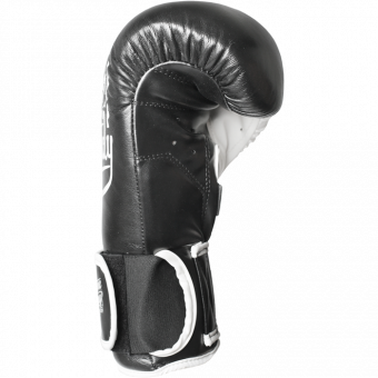 Боксерские Перчатки Hardcore Training hctboxglove03, фото 5