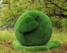 Топиари яблоко Синап - газон Eco Green