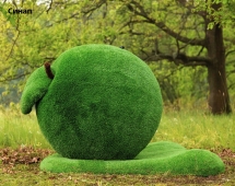 Топиари яблоко Синап - газон Eco Green
