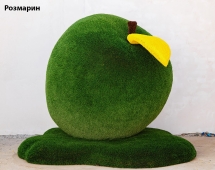 Топиари яблоко Синап - газон Eco Green