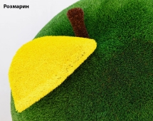 Топиари яблоко Синап - газон Eco Green