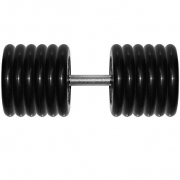 Гантель Barbell 61 кг профи