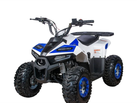 Квадроцикл YACOTA Raposa Pro Sport, фото 1