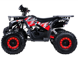 Квадроцикл GLADIATOR H125 Lux, фото 4 Квадроцикл GLADIATOR H125 Lux, фото 4