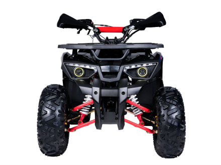 Квадроцикл GLADIATOR H125 Lux, фото 2