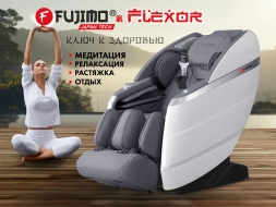 Массажное кресло FUJIMO 氣 FLEXOR F500 Grey, фото 2