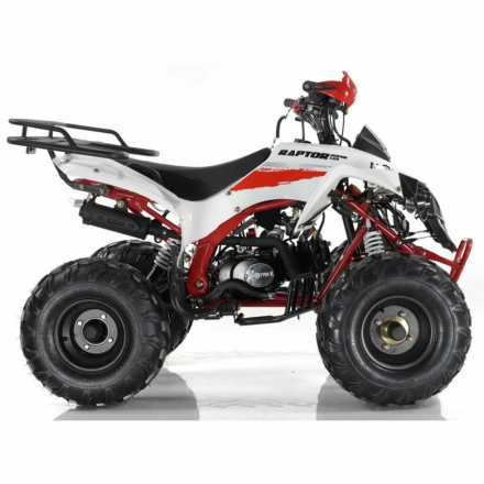 Квадроцикл MOTAX ATV Raptor Super LUX 125 сс, фото 5