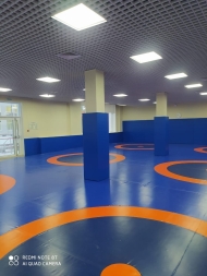 Ковёр борцовский 10х10х0,04 м, эквивалентно пл.160 кг/м3 (ППЭ/НПЭ, трёхцветный) СТП-89, фото 3